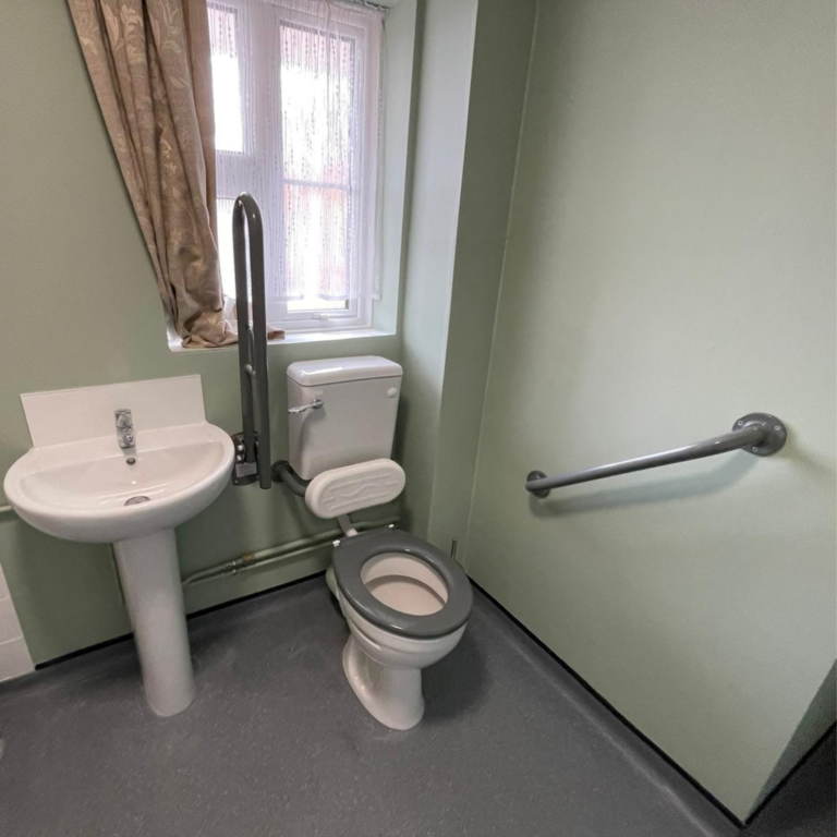 Home adaptations for disabled, toilet with handrail